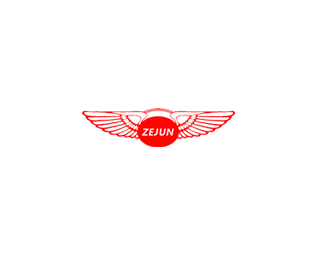 ZEJUN ϵ